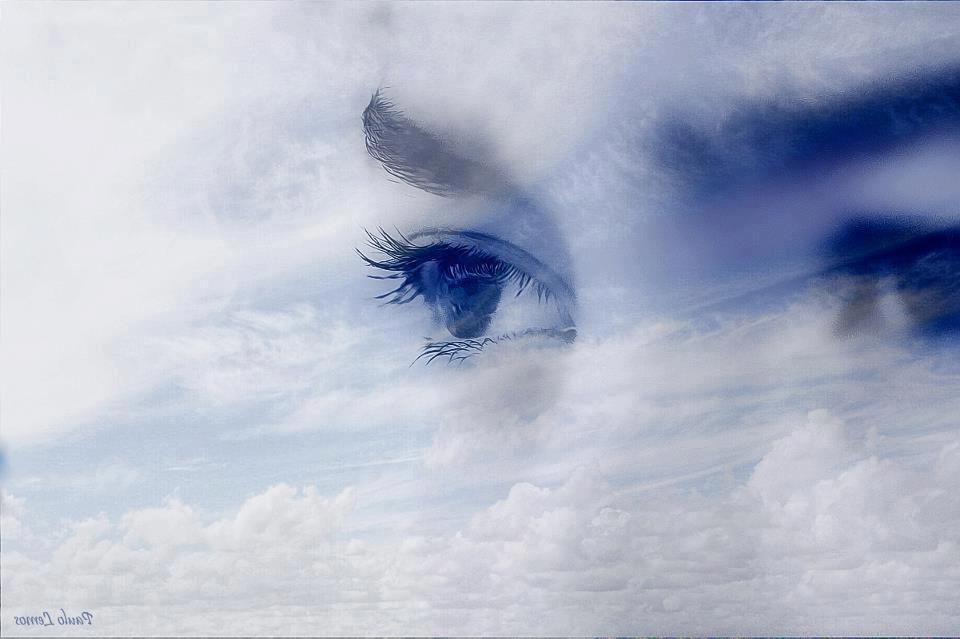 Studio vedskih znanosti