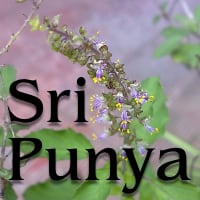 Sri Punya